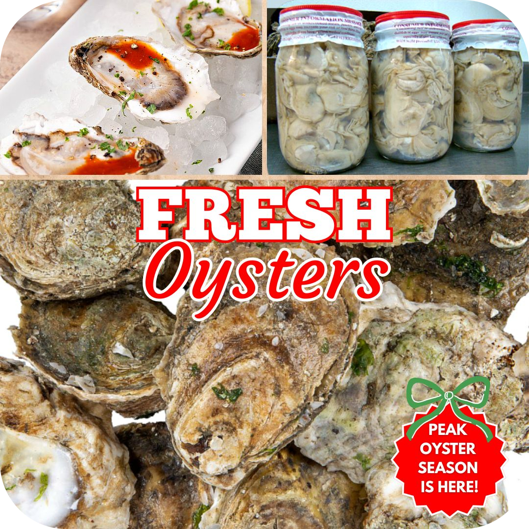 Image Shop Holiday Specials